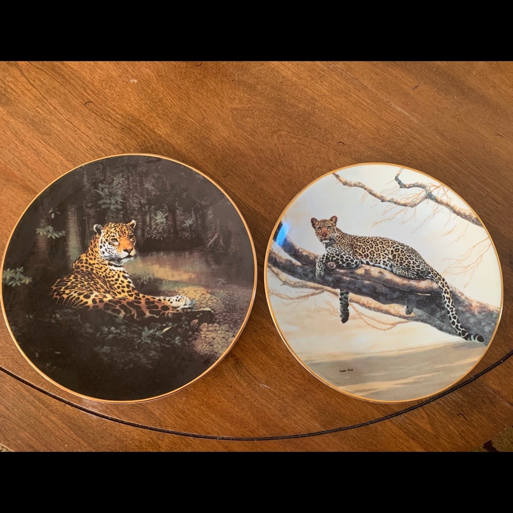 Set of 2 fine china plates